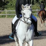 Lina & Silver - @_connemara_ - Instagram