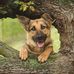 Lina Sullivan - Facebook