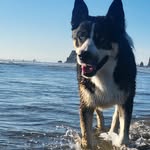 @wherehas.lincolnbean - Instagram