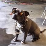 Lincoln Bond - @lbondo - Instagram