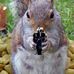 Doyle Lincoln - Facebook