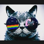 Lincoln doyle - @mr.woothless - Instagram