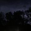 lincoln - @lincoln.edwards_ - TikTok