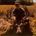 Lincoln Edwards - Facebook