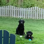 Lincoln - @lincolnevans121 - Instagram