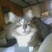 Lincoln Evans - Facebook