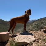 Lincoln Evans - @out_for_milk - Instagram