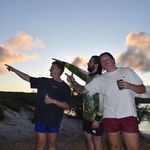 Lincoln Field - @lincoln_498 - Instagram