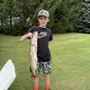 Lincoln Fields - @lincolnfields - TikTok