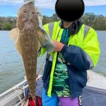 Lincoln Fields - @lincolnfields88 - Instagram