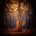Lincoln Fleming - @lincoln_fleming57 - Instagram