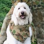Lincoln Hamilton - @linc_hami - Instagram