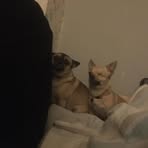 Lincoln Mullen - Facebook
