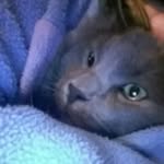 Lincoln Murphy - @lincolnlogx - Instagram