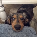 Lincoln Murphy - @stinkin_lincolnn - Instagram