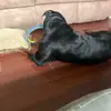 Lincoln Spence - @lincoln.spence7 - TikTok
