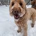 Lincoln Stone - Facebook