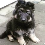 Lincoln Thurman - @2606justin - Instagram