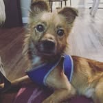 Lincoln Ward - @lincolnward - Instagram