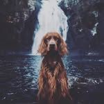 lincoln weaver - @lincolnweaver12 - Instagram
