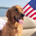 LINCOLN WHEELER - @_lifeoflincoln - Instagram