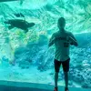 Wicky0009 - @lincolnwickman - TikTok