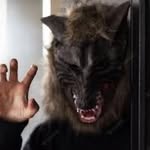 WOLF CLAN UNITE 🐺 - @lincolnwolfclan - Instagram