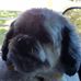 Linda Ashlock - Facebook