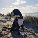 Linda Bachmann - @lindainken - Instagram