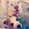 Linda Bachmann - @bagkira_emma - TikTok