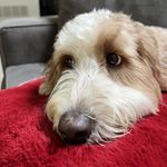 Linda Bachmann - @lindabachs - Instagram