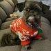Linda Backus - Facebook