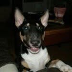 Barta Linda - @barta.linda - Instagram