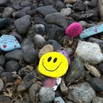 Linda Barta - @lgbarta - Instagram