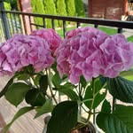 Linda Bartakovicsová - @linda_bartakovicsova - Instagram