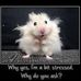 Linda Beane, Animal Rights Articles - Facebook