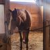 Linda Beane Cote - Facebook
