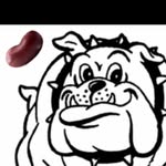 mlms beaners😱. - @mesa_linda.beaners - Instagram