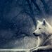 Linda Beeman Kerwin - Facebook