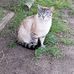 Linda Begin - Facebook