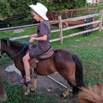 Linda Beiler - @lindabeiler3920 - Instagram