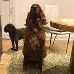 Linda Berman - @linda.berman.7399 - Instagram