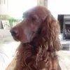 lindaberman93raffie - @lindaberman93raffie - TikTok