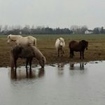Berta und Oska - @linda_berta_oska - Instagram