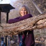 Linda Bever - @linda.bever1 - Instagram