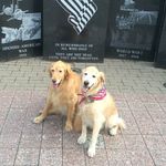 Linda Kosmo Blackerby - @lcbmom4 - Instagram