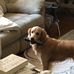 Linda Kosmo Blackerby - Facebook