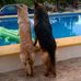 Linda Blackledge - Facebook