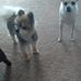 Linda Bonebrake - Facebook