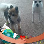 Linda Bonebrake - Facebook